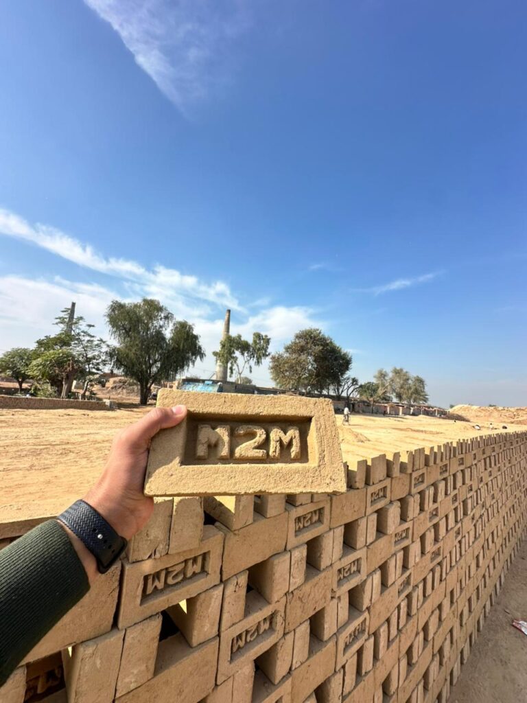 Raw clay bricks before firing at M2M Bricks factory in Hanumangarh